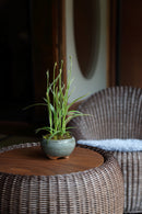 【Ever Grace】ラタンラウンドテーブル －EGT01－